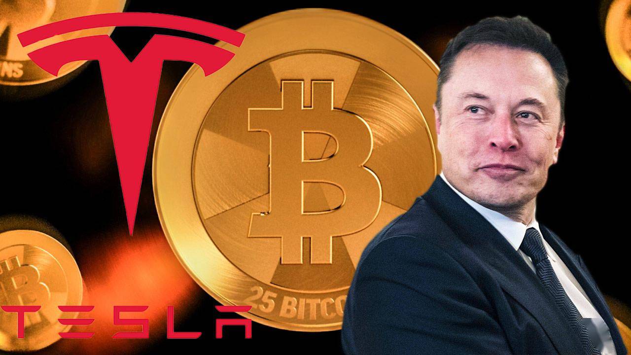 关于xbt比特币的信息