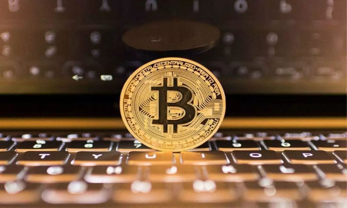 比特币市场分析(比特币市场分析利润的诱惑)