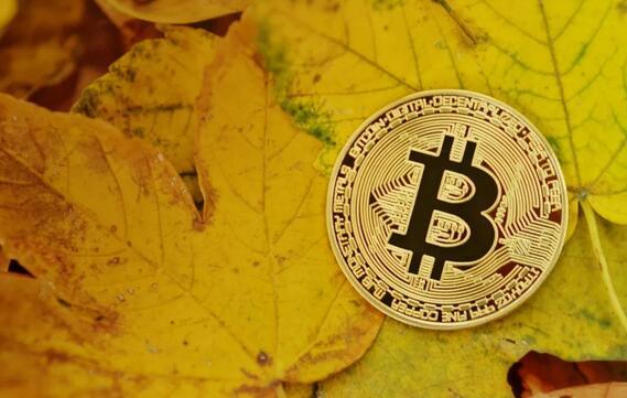 比特币bbc是传销吗(比特币bbc是传销吗知乎)