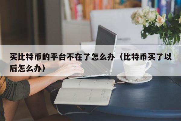 买比特币平台(买比特币平台有哪些)