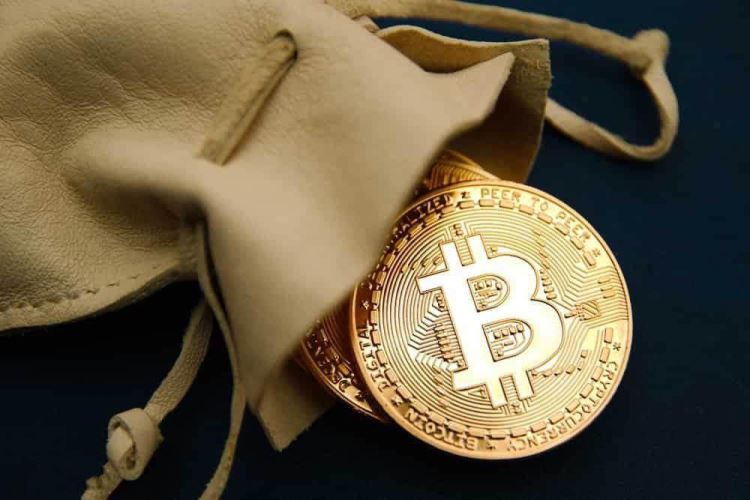 世界比特币最大网站(比特币最大交易网)