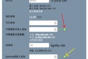 比特币中国还能充值吗(比特币在中国还能交易吗?)