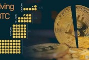 比特币和云币那个好(比特币和云计算的关系)