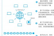 比特币如何进行分叉(比特币分叉了哪些币种)