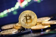 全球最大的比特币平台(全球最大的比特币交易网站)