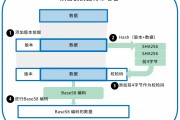 比特币创建用户(比特币创建用户有什么用)