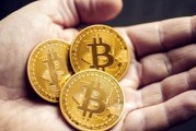 外国的比特币交易网(外国的比特币交易网站)