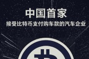 中国支持比特币支付平台(中国支持比特币支付的商家)