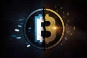 比特币方程是什么(比特币是什么方程的特解)