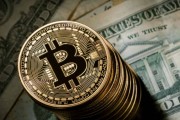 支持比特币网站(支持比特币网站的软件)